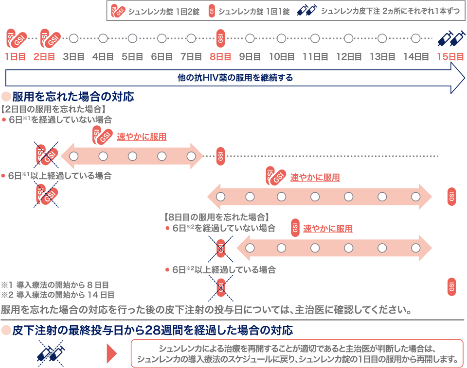 シュンレンカの治療スケジュール